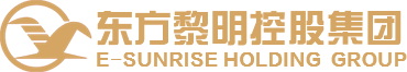 東方黎明集團